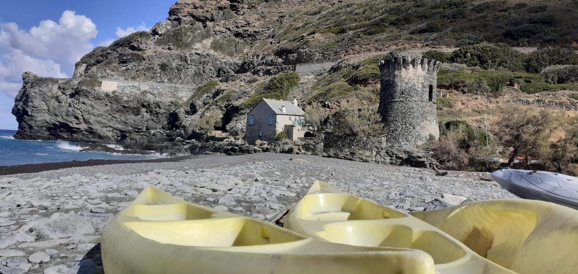 Cap Corse - Maison A 500M De La Plage Grillasca Eksteriør billede