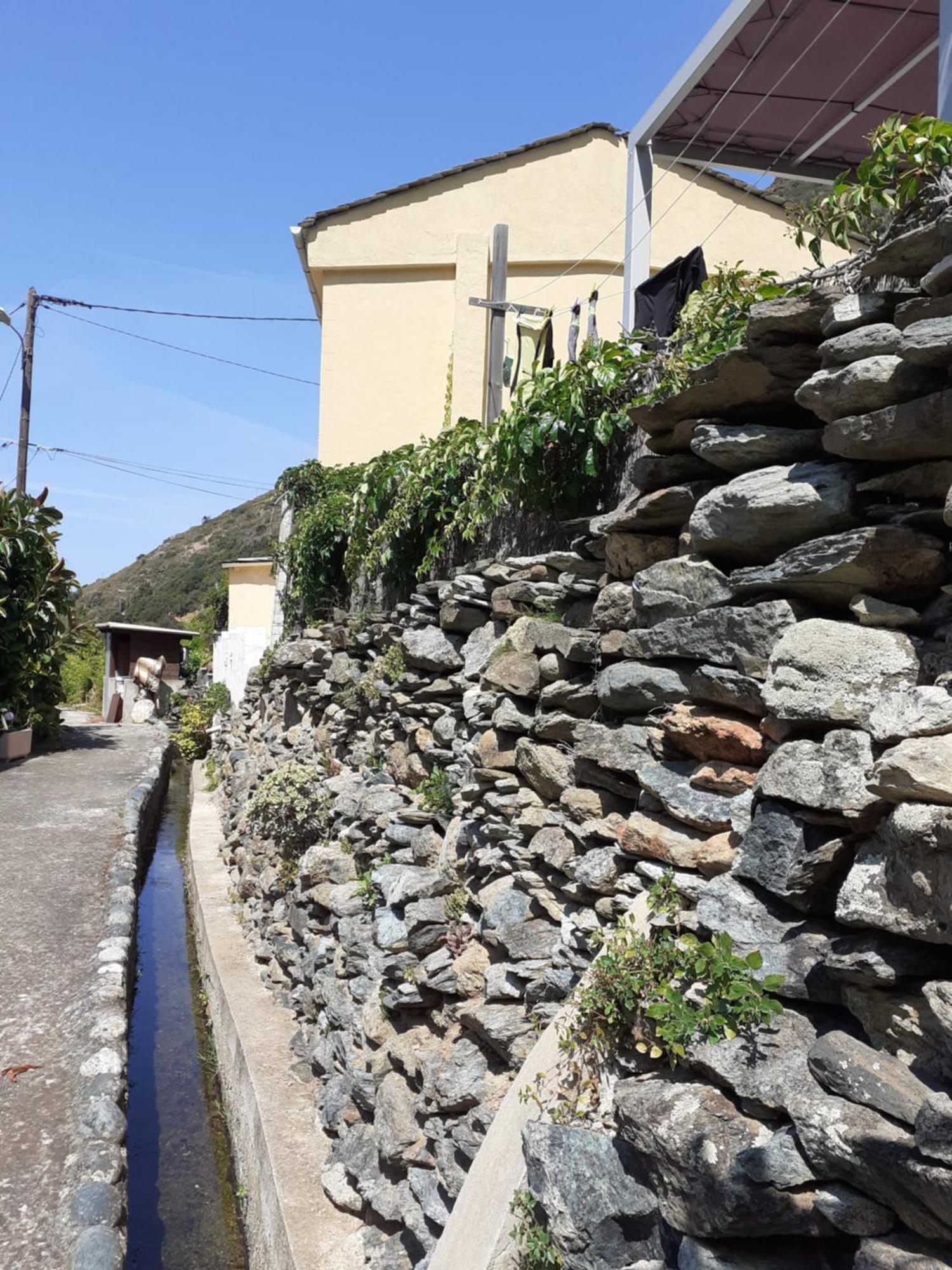 Cap Corse - Maison A 500M De La Plage Grillasca Eksteriør billede